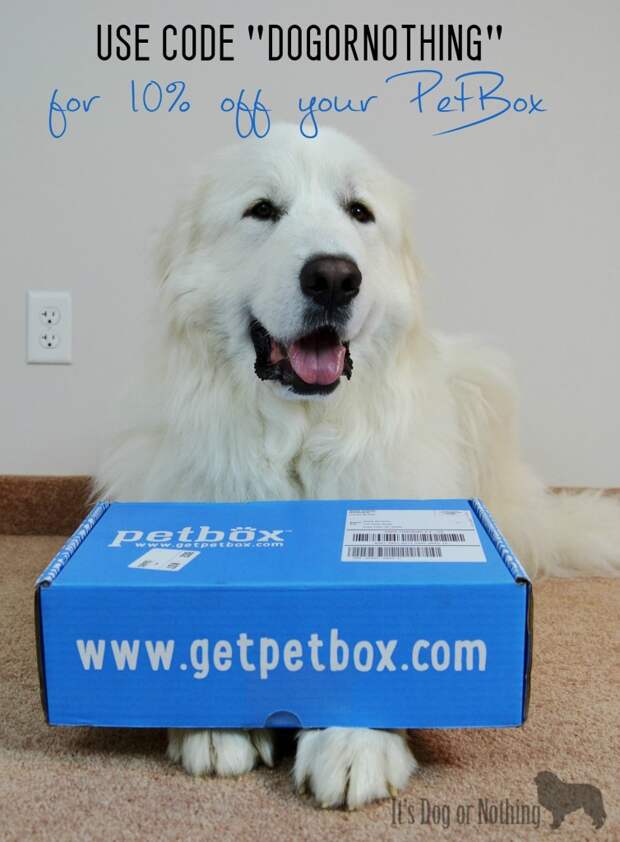 Want to spoil your dog with the monthly subscription, PetBox? Use code "DOGORNOTHING" at check out!