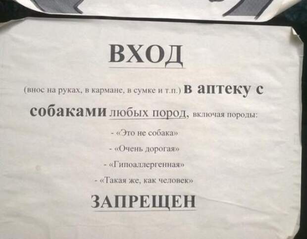 Картинки, юмор, приколы