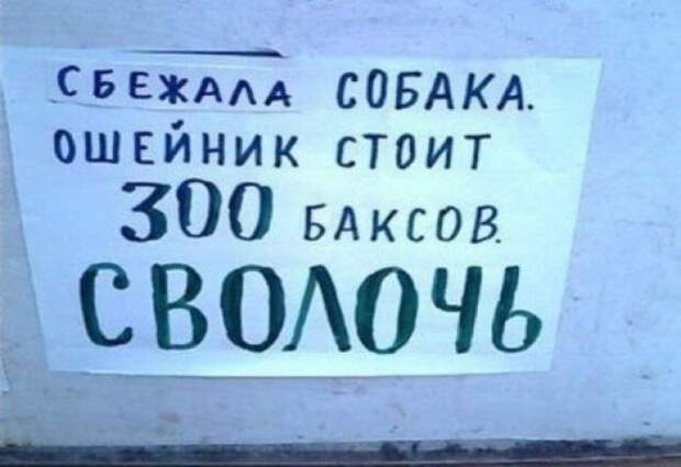 Смешные объявления, вывески, рекламки, ценники. часть 60 (25 фото)