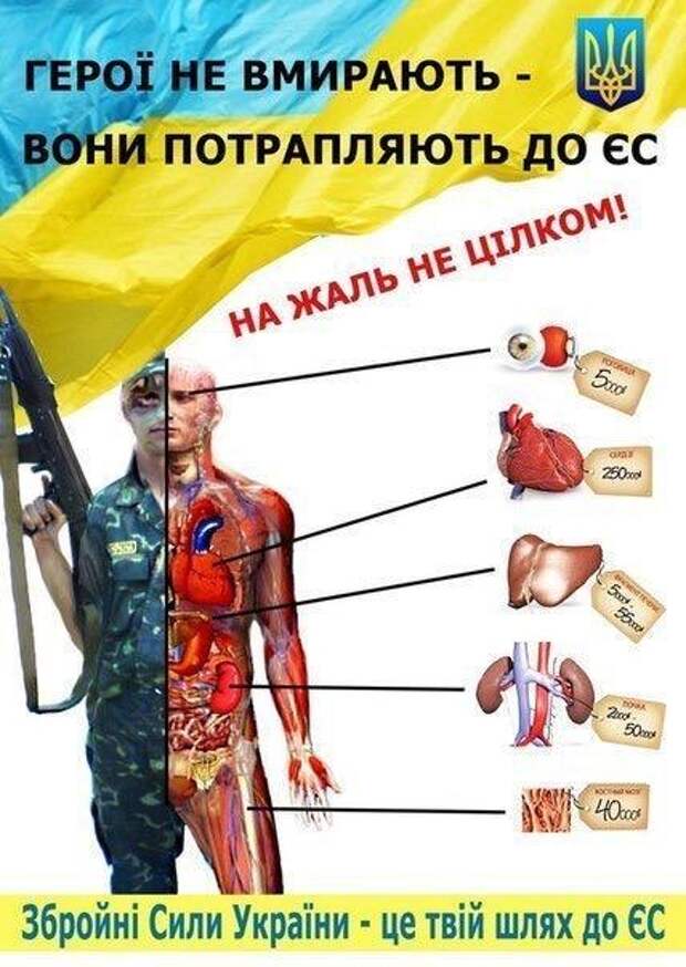 каратели АТО на органы