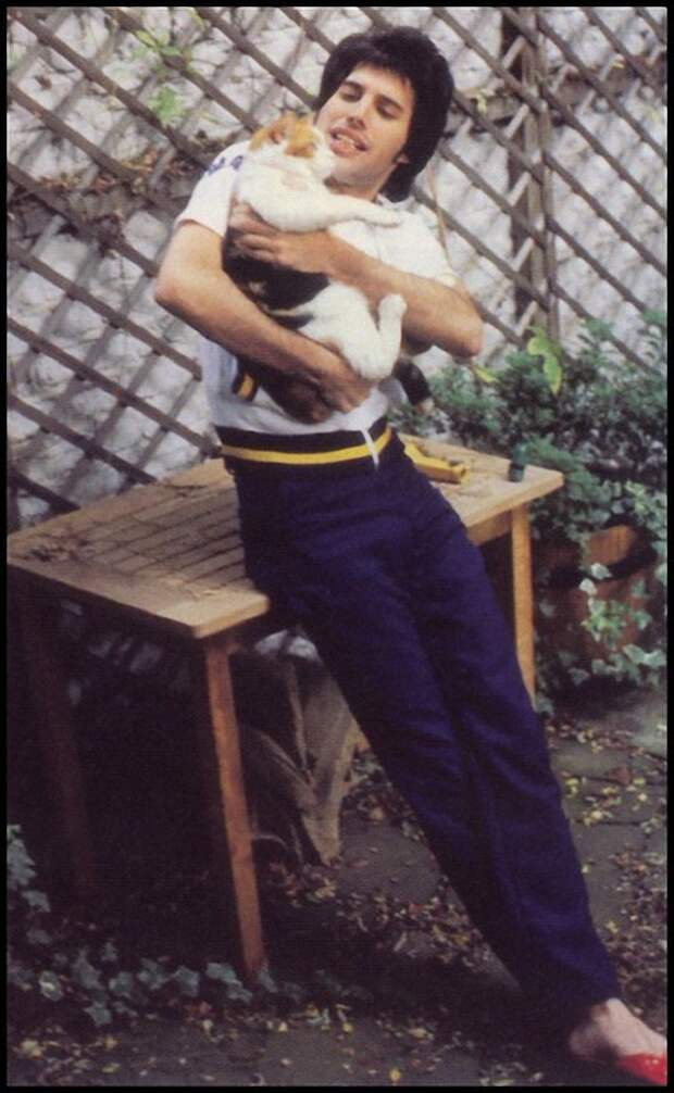 Памяти Фредди Меркьюри