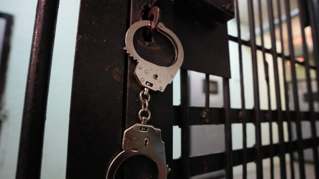 В Москве суд приговорил художника к 1,5 годам колонии за убийство кота