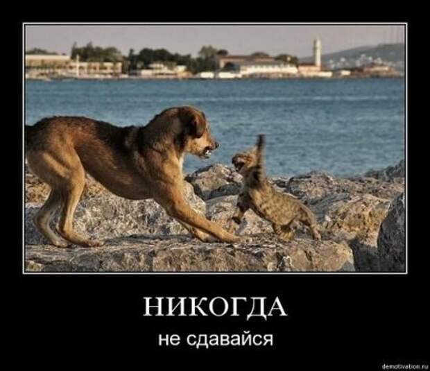 Демотиваторы близкие к мотиваторам, про нашу жизнь любовь.