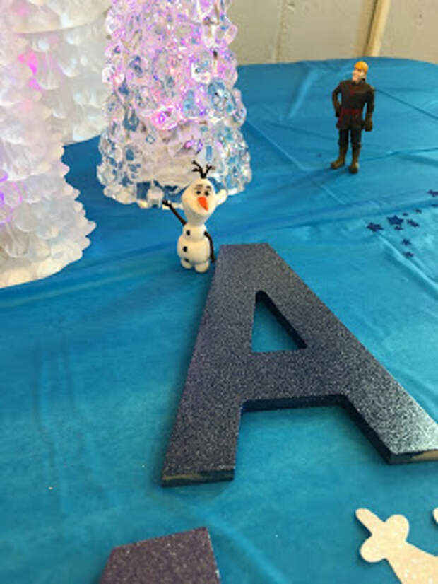 frozen birthday party