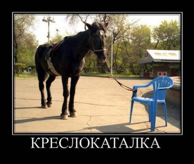 Прикольные демотиваторы только для Вас!