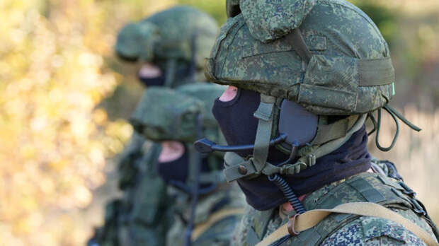 Россиянки стали чаще искать в интернете способы отправить мужа на СВО