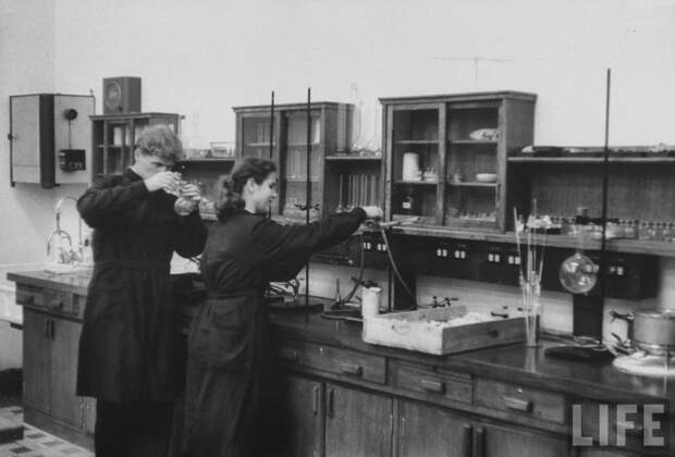 Московский государственный университет  в 1956 году