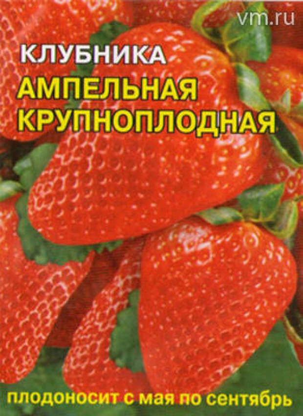 Что вырастет из этих семян, ни кто не знает, это своеобразная «клубничная рулетка».