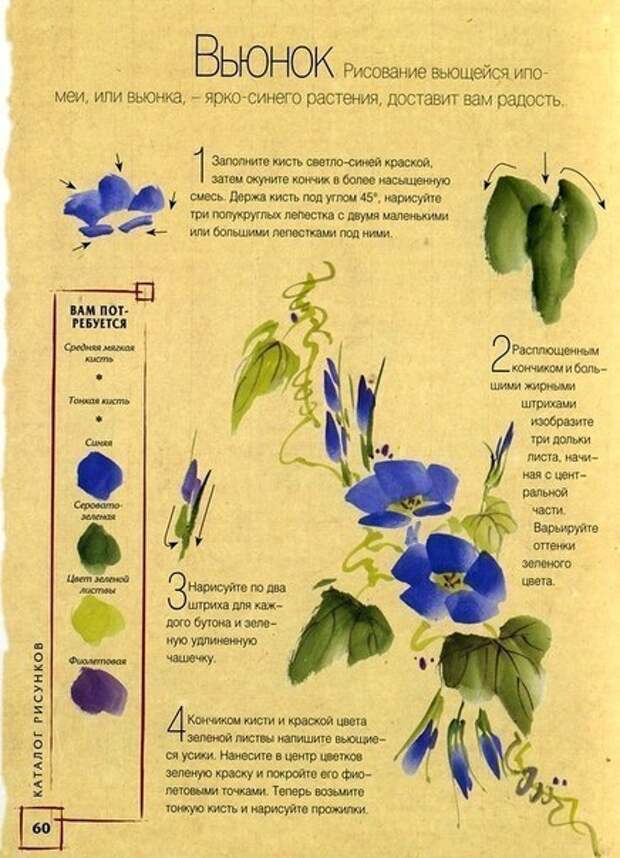 рисунок вьющегося растения