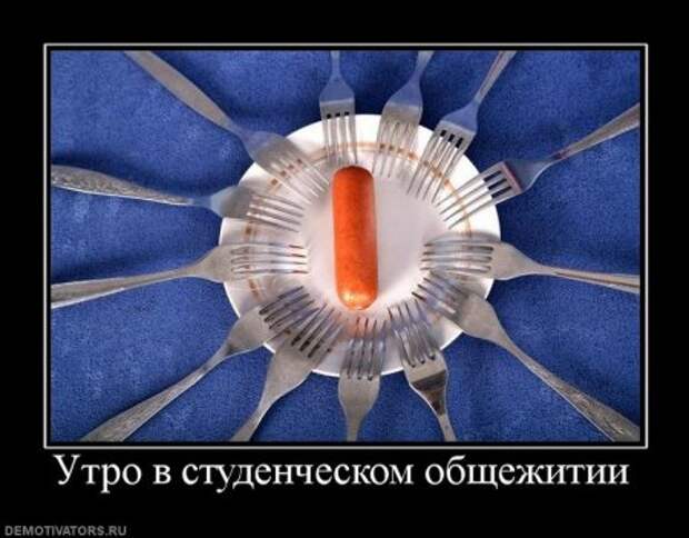 Смешные демотиваторы, классные фото.