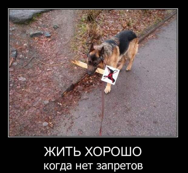 Демотиваторы (30 фото) Демотиваторы (30 фото)