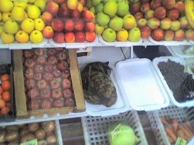 Давайте улыбаться вместе! :) (31повод)