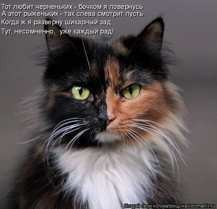 Мысли вслух :)