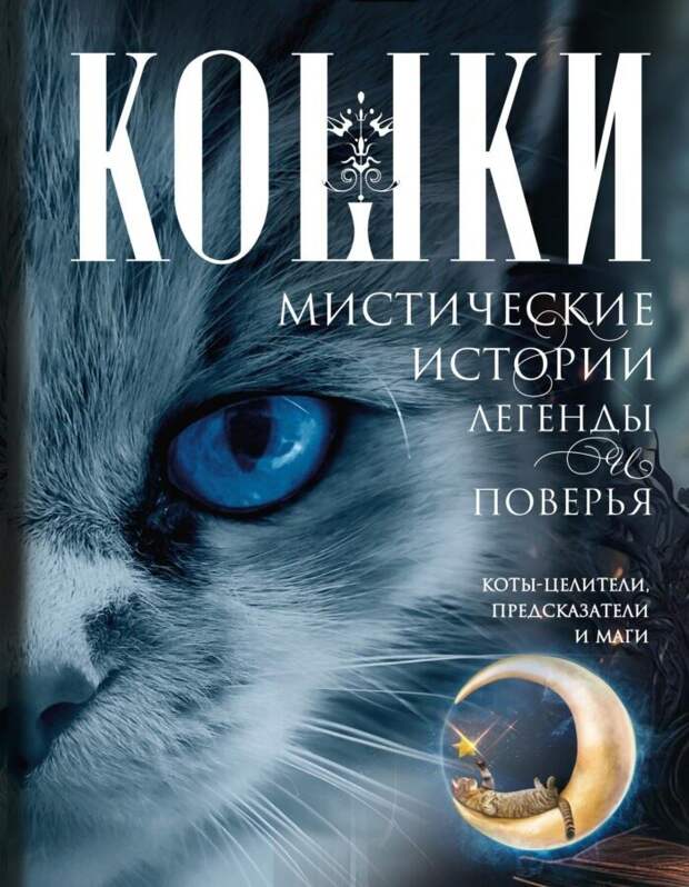 Читатель Толстов: от лечения оспы до скандинавского нуара