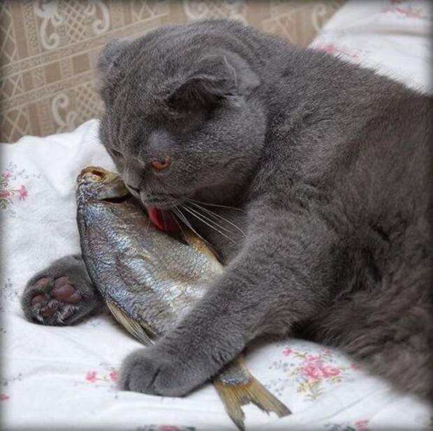 Приколюхи. Очень смешно!