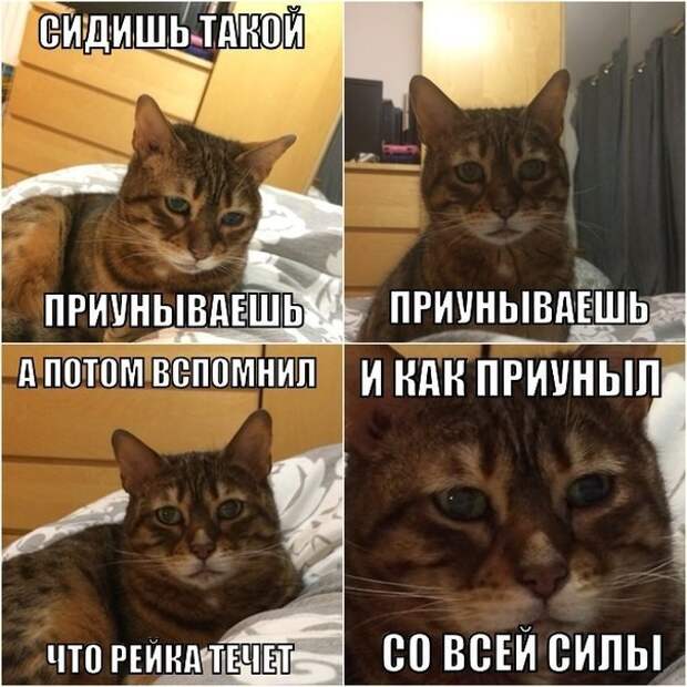 Подборка автоприколов (32 фото)