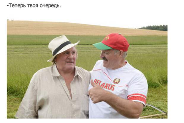 6. картошка, лукашенко