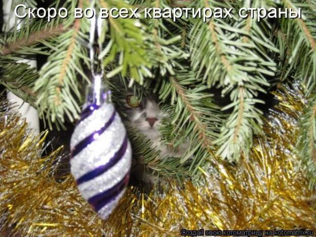 Мысли вслух - Ожидание Нового года