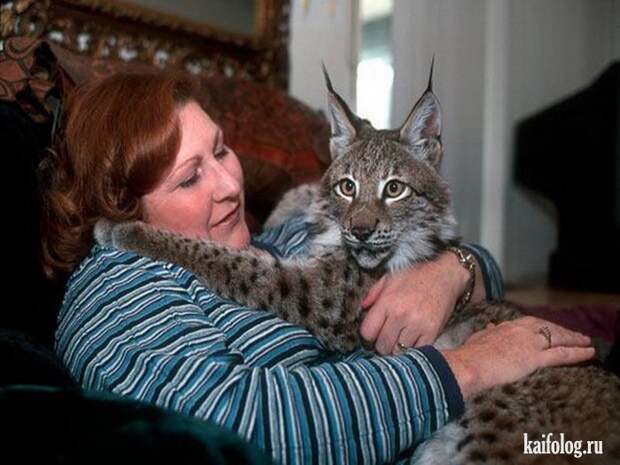 Необычные домашние животные (55 фото) Необычные домашние животные (55 фото)