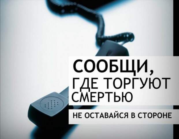 Акция «Сообщи, где торгуют смертью» стартовала в Северном округе. Фото: пресс-служба УВД по САО