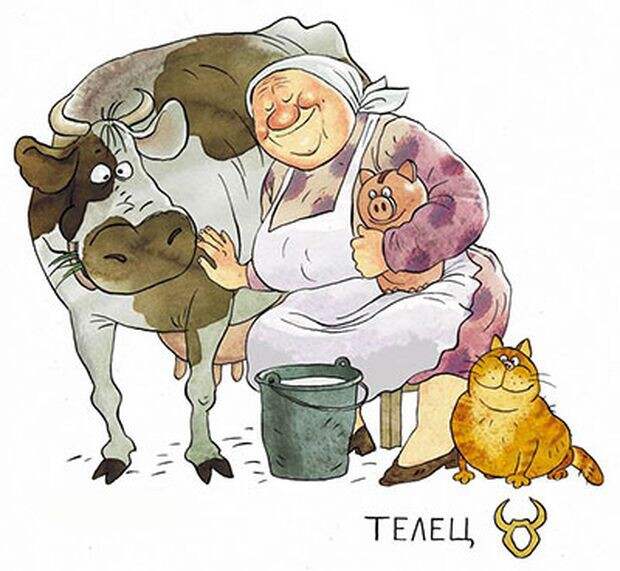 Телец Телец знаки зодиака, старость