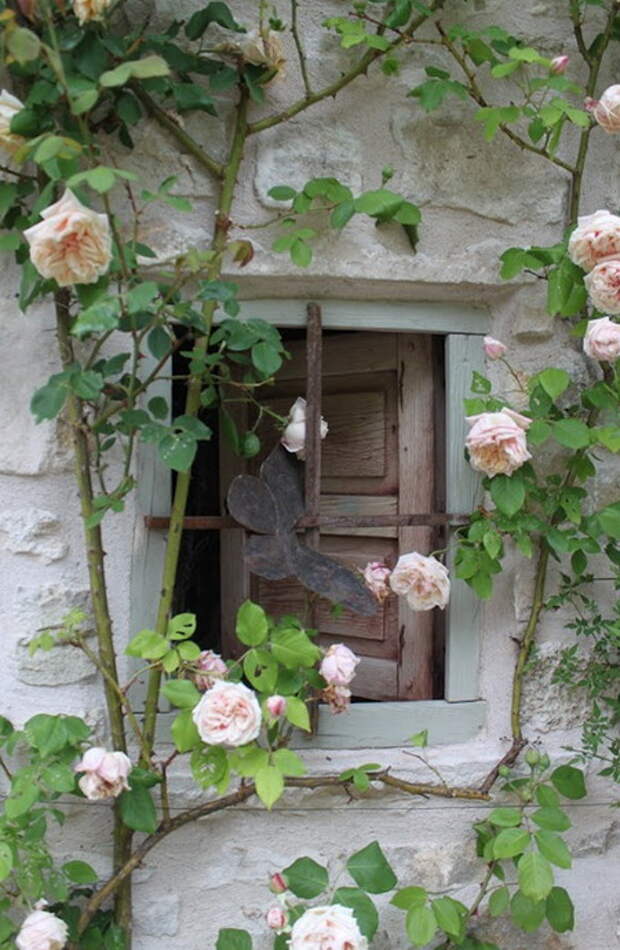4497432_rosesingardeninspiration41 (450x690, 115Kb)