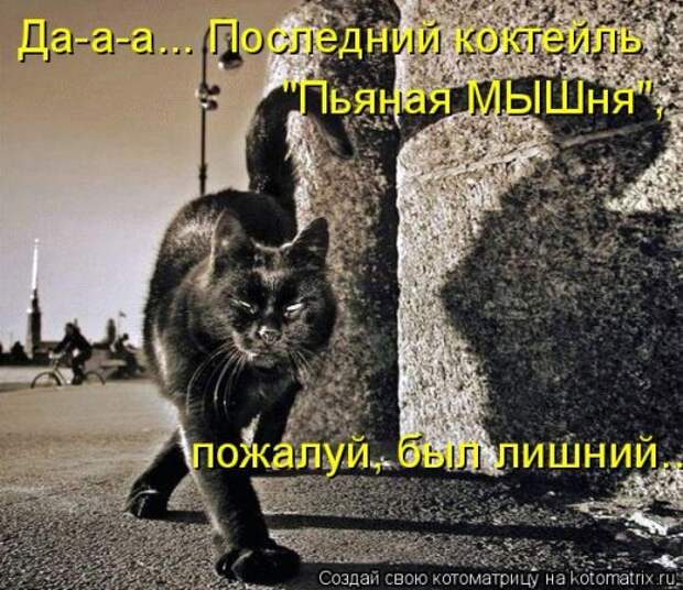 Котоматрица свежак (36 шт)