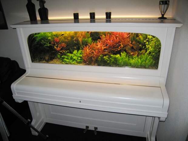 аквариум из пианино