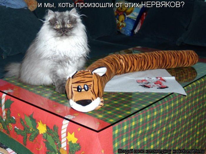 Мысли вслух :)