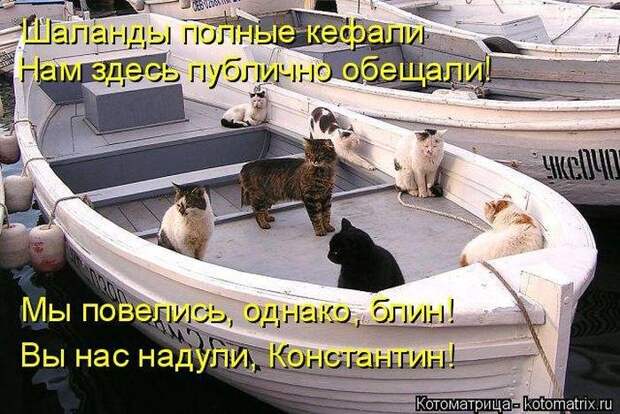 Весёлые котоматрицы - смешные кошки Весёлые котоматрицы - смешные кошки