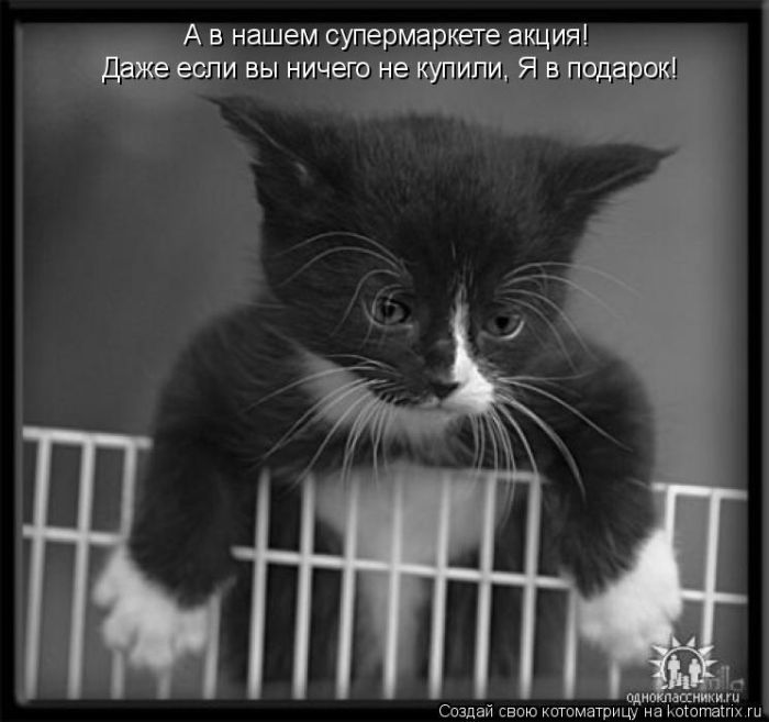 Мысли вслух :)
