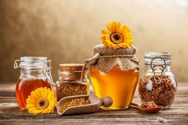 Лечение остеохондроза медом