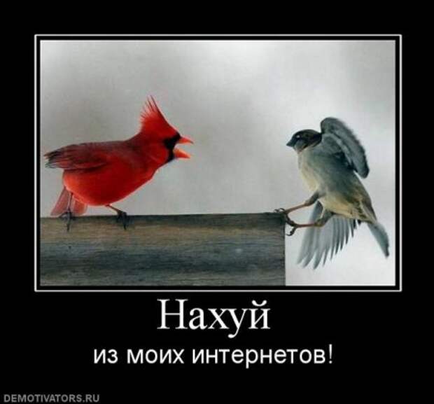Пятничная демотивация на сайте.
