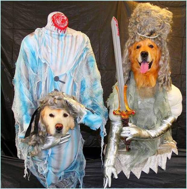 Halloween Ghost Costumes For Dogs