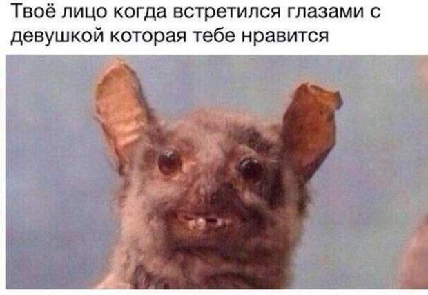 Смешная галерея фотоприколов  # 75
