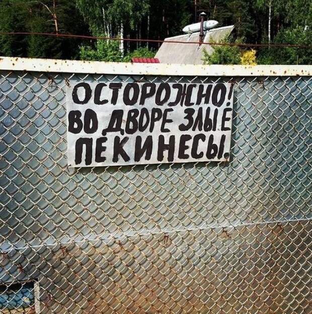 Таблички, которые сразу убеждают прикол, юмор