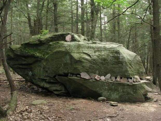 Забавная подбрка фотографий Забавная подбрка фотографий