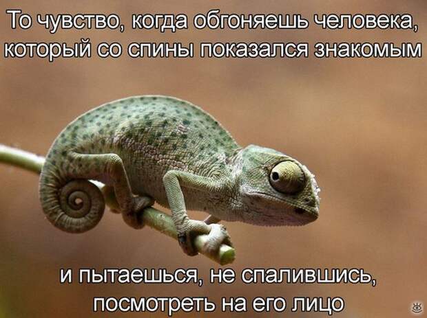 Повседневность в курьёзах 7
