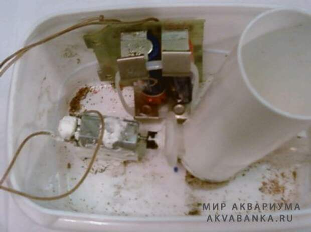 Автоматическая кормушка своми руками Автоматическая кормушка своми руками