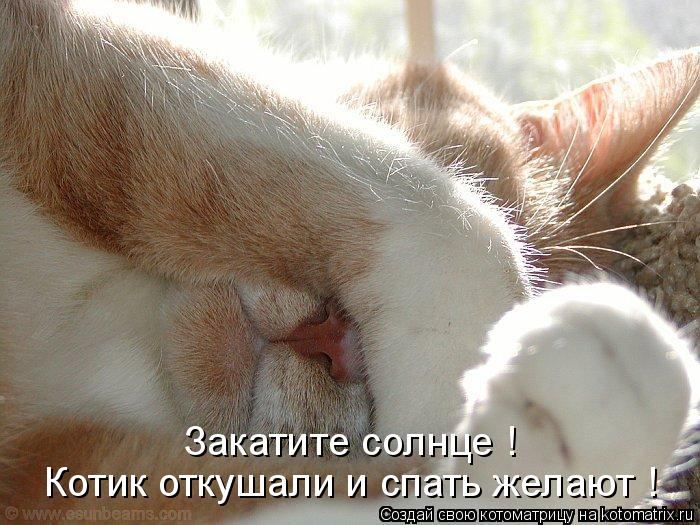 Мысли вслух :)