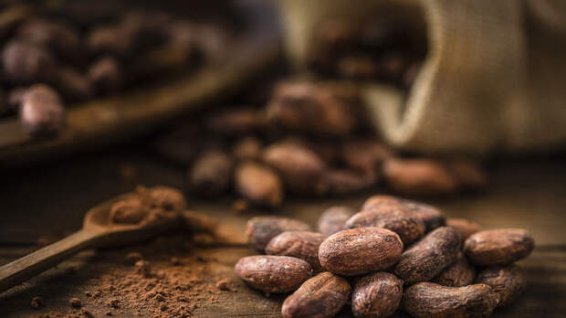 Посол: республика Перу нацелена увеличить экспорт какао и кофе в Россию