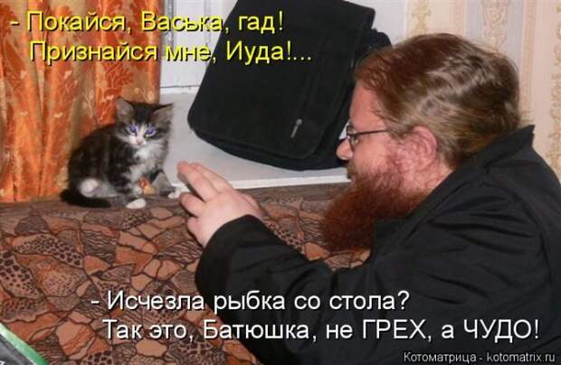Лучшие котоматрицы недели