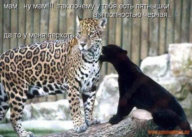 Мысли в слух №101014