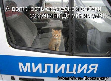 Котоматрица: - А должность служебной собаки  сократили до минимума!!!