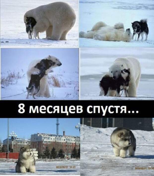 Картинки со смешными подписями