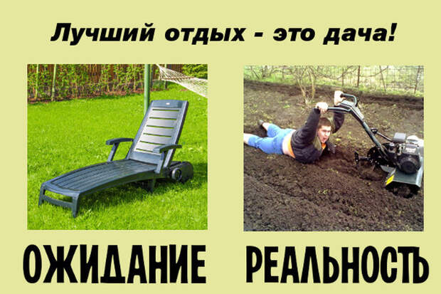 Ожидания и реальность майских праздников Ожидания и реальность майских праздников ожидание, праздники, реальность