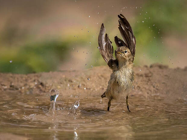 Лучшие фотографии июля 2015 от National Geographic