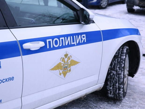 Выяснились подробности продажи ребенка в Москве: мать хотела полмиллииона
