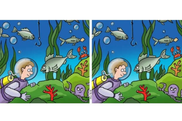 Найдите 11 отличий под водой за 38 секунд — проверим вашу зоркость