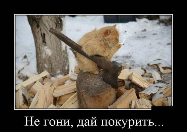 Демотиваторы (30 фото)